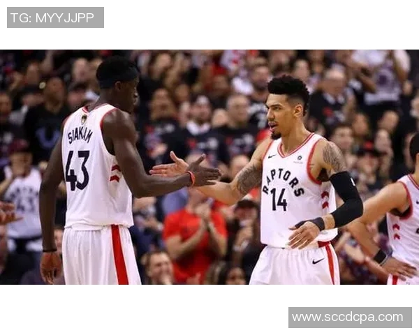 2017年NBA总决赛勇士队与猛龙队的精彩对决回顾与分析