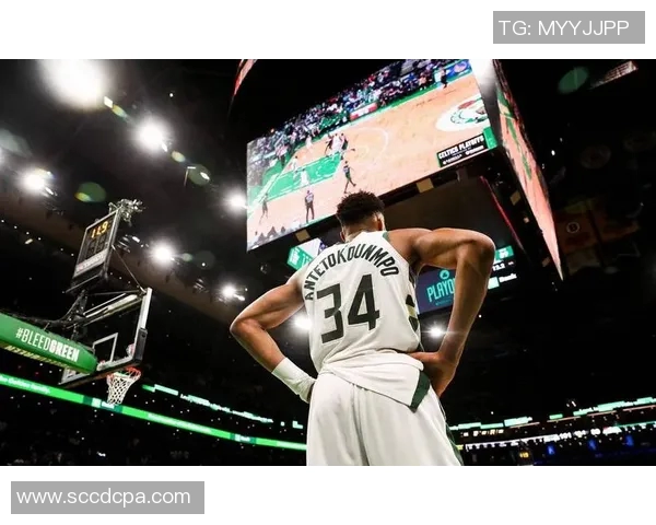 字母哥拒绝提前续约将关注雄鹿能否在新赛季争夺总冠军