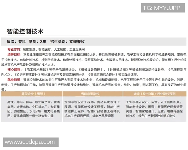 巴西对秘鲁精彩对决视频直播全程回顾与分析