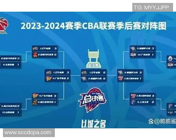 新疆对阵辽宁的精彩比赛重播时间及观看指南详解