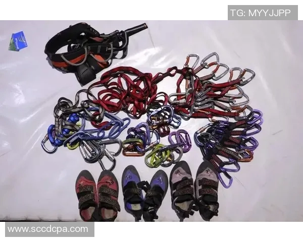 北京攀岩队速度表现数据分析与训练策略探讨MBA