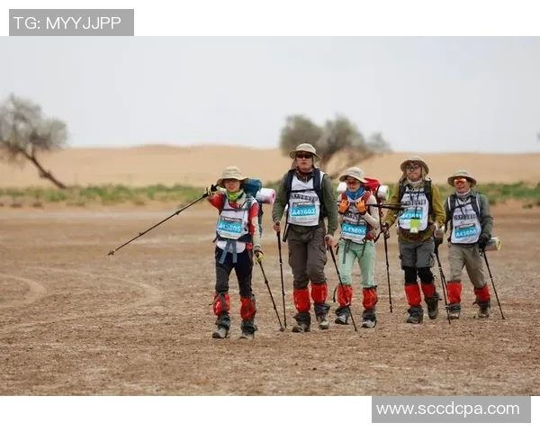 广州排球队在洲际杯中的默契配合展现团队实力与竞技精神MBA