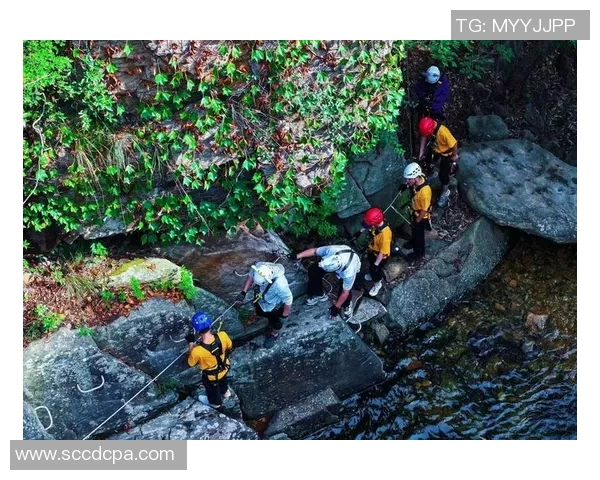 从零基础到高手之路:全面掌握攀岩技巧与训练方法指南 从零基础到高手之路:全面掌握攀岩技巧与训练方法指南