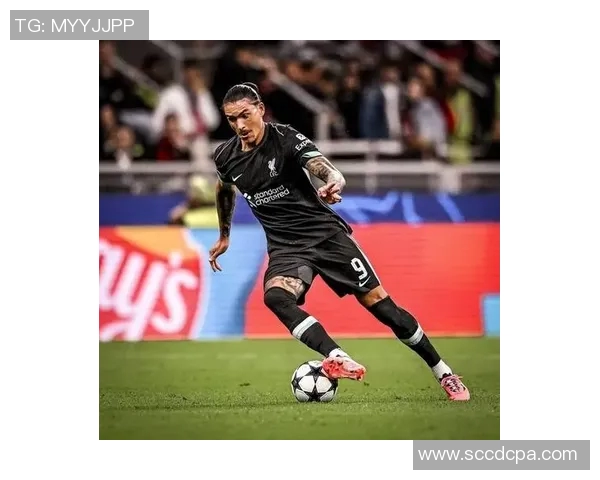 努涅斯在赛季中的精彩表现与未来发展潜力分析