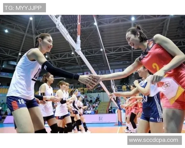 南京排球队的训练与比赛状态全景揭秘,助力排球梦想的崛起与发展 南京排球队的训练与比赛状态全景揭秘,助力排球梦想的崛起与发展