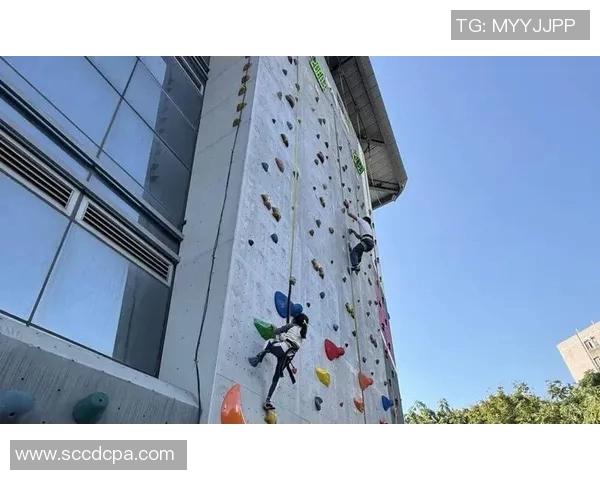 攀岩精神:探讨广州攀岩队员的心理素质与竞技表现 攀岩精神:探讨广州攀岩队员的心理素质与竞技表现