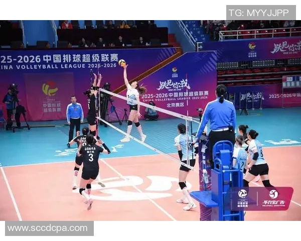 排球团队协作实力榜揭晓北京排球队荣获第三名殊荣 排球团队协作实力榜揭晓北京排球队荣获第三名殊荣