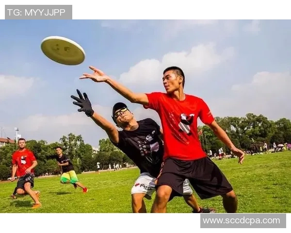 聚焦飞盘运动北京飞盘队的团队意识与文化探讨