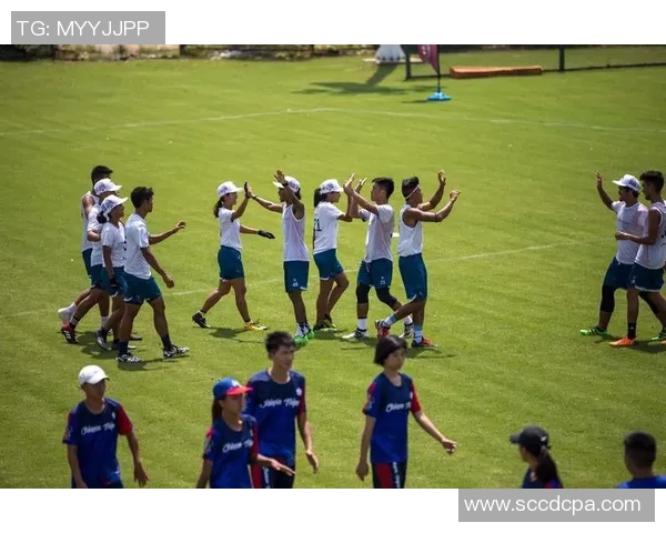 飞盘盛宴：深入解析北京飞盘队员的独特技能与团队协作