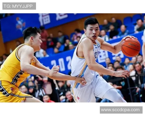 陈林坚的篮球之路：从青涩少年到职业球员的奋斗与成长