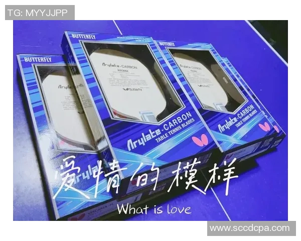 乒乓球装备选购指南：必备训练器材推荐与使用技巧分享