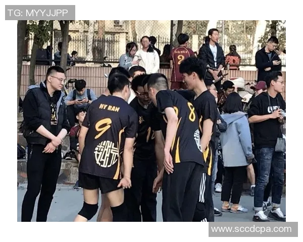 排球巨献：深入解析武汉排球队的战术与技术创新之路