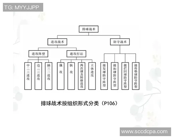 上海排球队转换体系的战术分析与实践探索 上海排球队转换体系的战术分析与实践探索